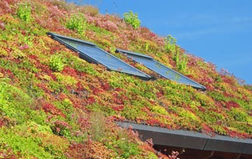 Mynydd Bodafon living roof systems